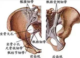 这些小动作，每天一遍，矫正骨盆不正还能帮助增高